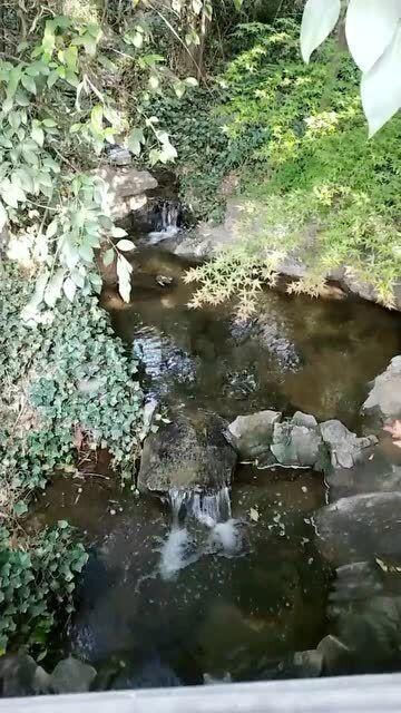 边境之旅