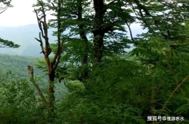 得知女儿过年回家父母提前一个月收拾