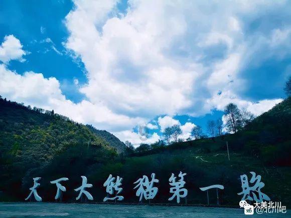 甜美洋气小公主
