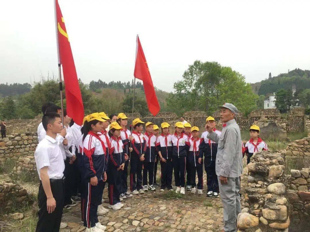 乌克兰高油酸葵花籽油出口不断增长