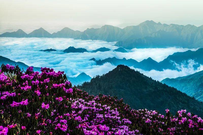 爱旅行的芭比