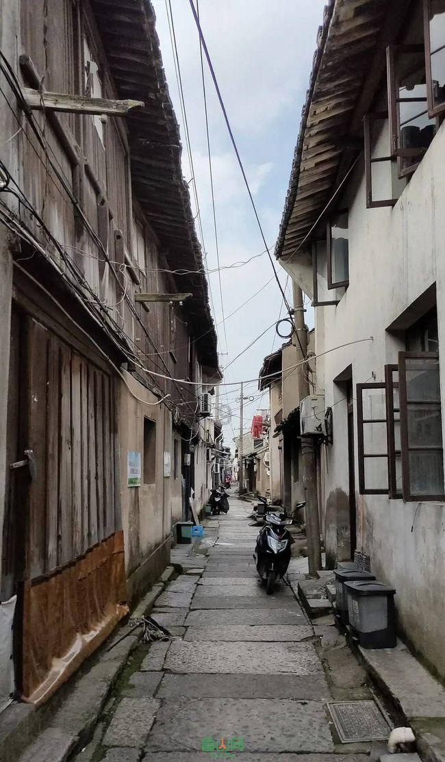 海贼王1105话情报，路飞进食恢复战力，黄猿为了波妮背叛萨坦